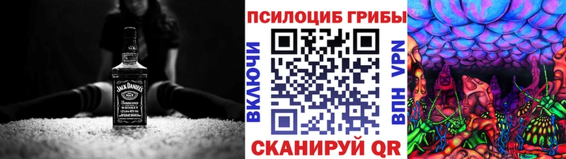 наркошоп  Сысерть  Галлюциногенные грибы Psilocybe 