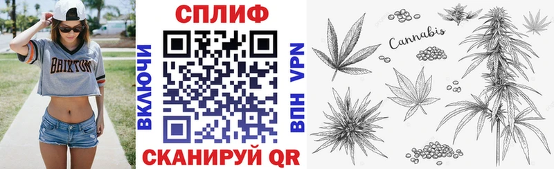 Каннабис план  Сысерть 